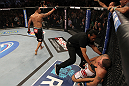 Minotauro Nogueira vs Brendan Schaub