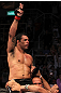 Minotauro Nogueira