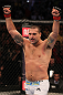 Shogun Rua