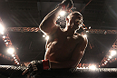 Anderson Silva
