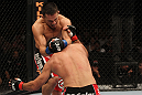 Shields vs. Ellenberger