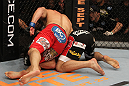 Shields vs. Ellenberger