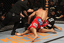 Shields vs. Ellenberger
