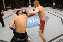 Harvison vs. Baczynski