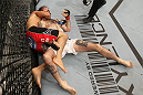 McKenzie vs. Rocha