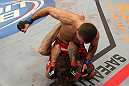 McKenzie vs. Rocha