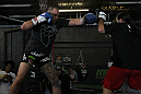 Travis Browne