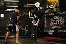 Cheick Kongo