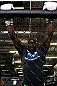 Cheick Kongo
