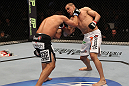 Te Huna vs Romero