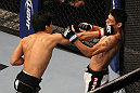 Mizugaki vs Escovedo