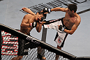Mizugaki vs Escovedo