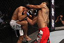 Ferguson vs Riley