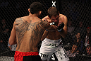 Ferguson vs Riley