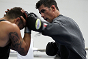 Dominick Cruz