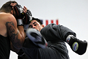 Dominick Cruz