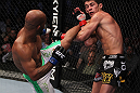 Dominick Cruz vs Demetrious Johnson