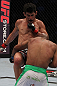 Dominick Cruz vs Demetrious Johnson