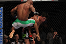 Dominick Cruz vs Demetrious Johnson