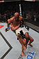 Dominick Cruz vs Demetrious Johnson