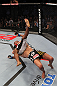 Dominick Cruz vs Demetrious Johnson