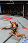 Dominick Cruz vs Demetrious Johnson