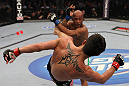 Dominick Cruz vs Demetrious Johnson