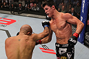 Dominick Cruz vs Demetrious Johnson