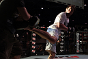 Chael Sonnen