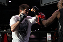 Chael Sonnen