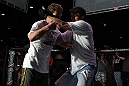 Gray Maynard and Chael Sonnen