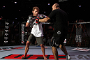 Gray Maynard