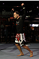 Frankie Edgar