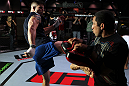 Brian Stann