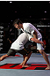 Gray Maynard and Chael Sonnen