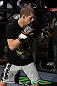 Joe Lauzon