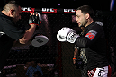 Frankie Edgar