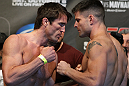 Chael Sonnen vs Brian Stann