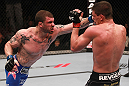 Cantwell vs Massenzio
