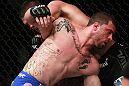 Cantwell vs Massenzio