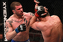 Cantwell vs Massenzio