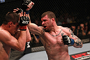 Cantwell vs Massenzio