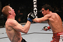 Simpson vs Schafer