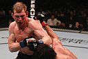 Simpson vs Schafer
