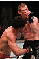 Simpson vs Schafer