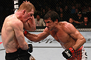 Simpson vs Schafer
