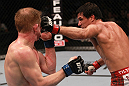Simpson vs Schafer