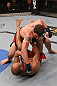 Zhang vs Elkins