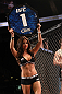 Octagon Girl Arianny Celeste