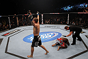 Joe Lauzon celebrates his win over Melvin Guillard